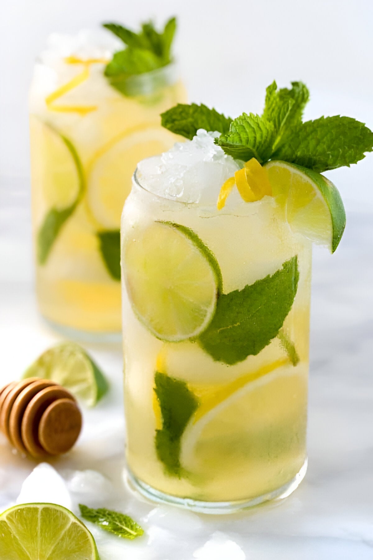 VRD Tea Vintage Blends Green Mojito Iced Tea (20 Bio-degradable Dip Bags)